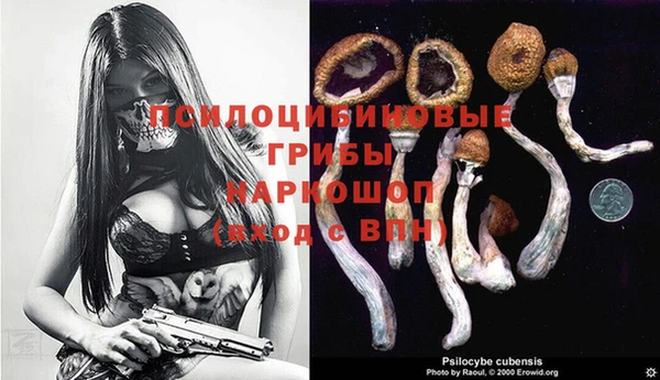метадон Алексеевка