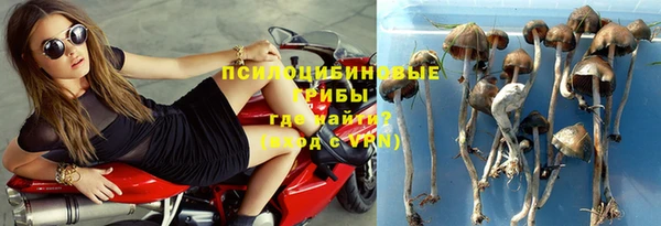 МДПВ Алзамай