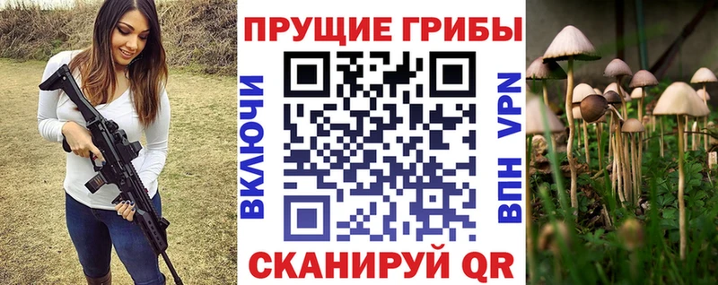 Галлюциногенные грибы Psilocybine cubensis Йошкар-Ола